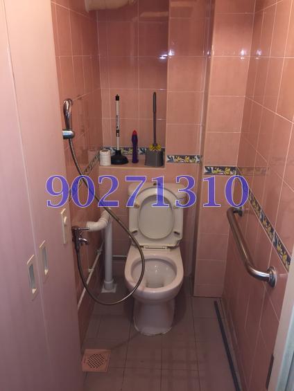Blk 160 Mei Ling Street (Queenstown), HDB 3 Rooms #142440102